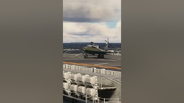 Horten Ho229 Japanese Army #aviation #airplane #automobile #military #shorts