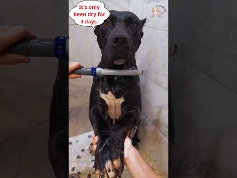 How to Bathe