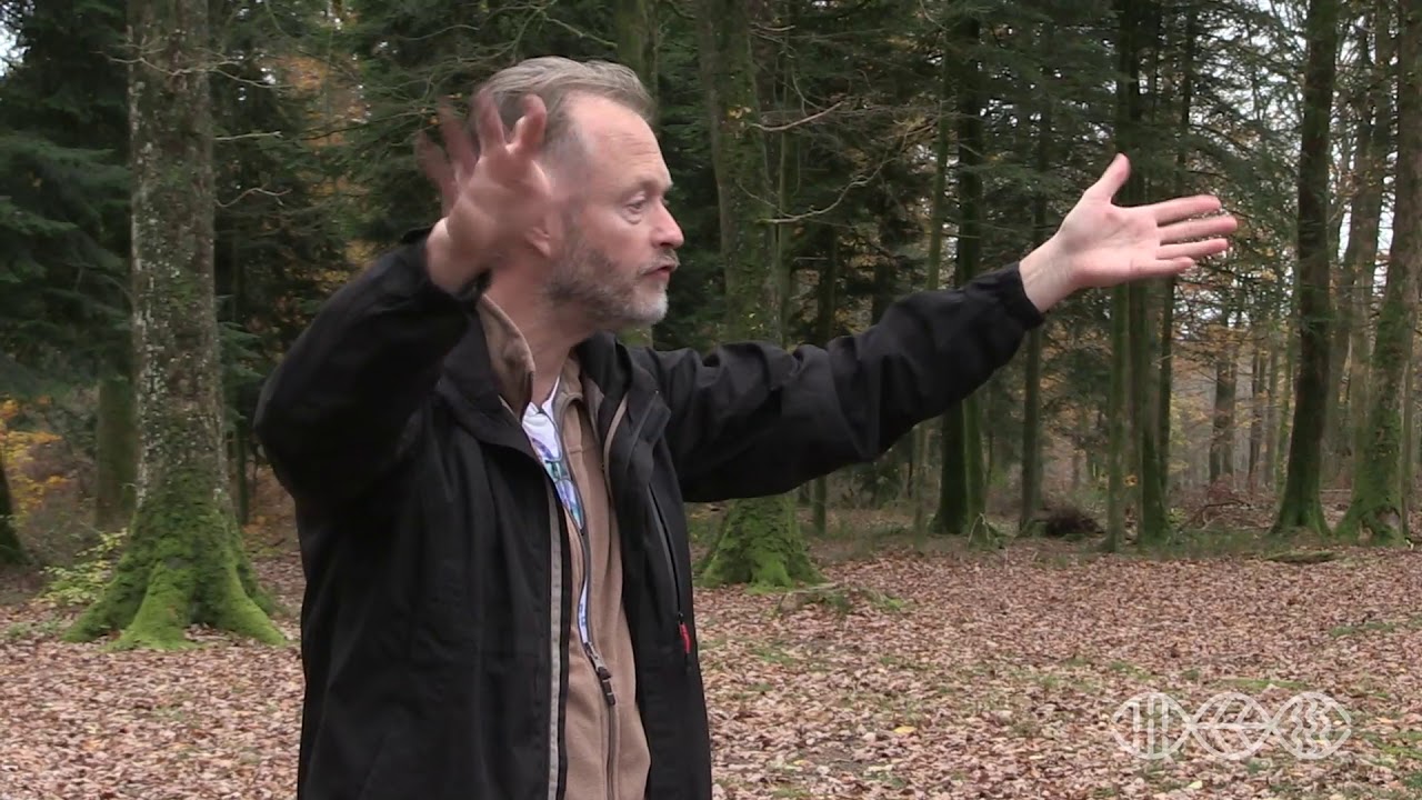 Formation Mycorhization - Travaux pratiques