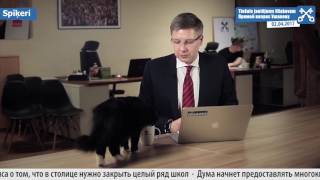 Обращение мэра Риги к гражданам прервал... кот Обращение мэра Риги к гражданам прервал... кот