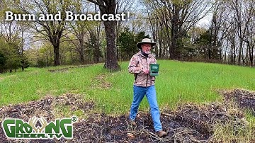 Easy Clover Food Plot Using Prescribed Fire and Hand Tools
