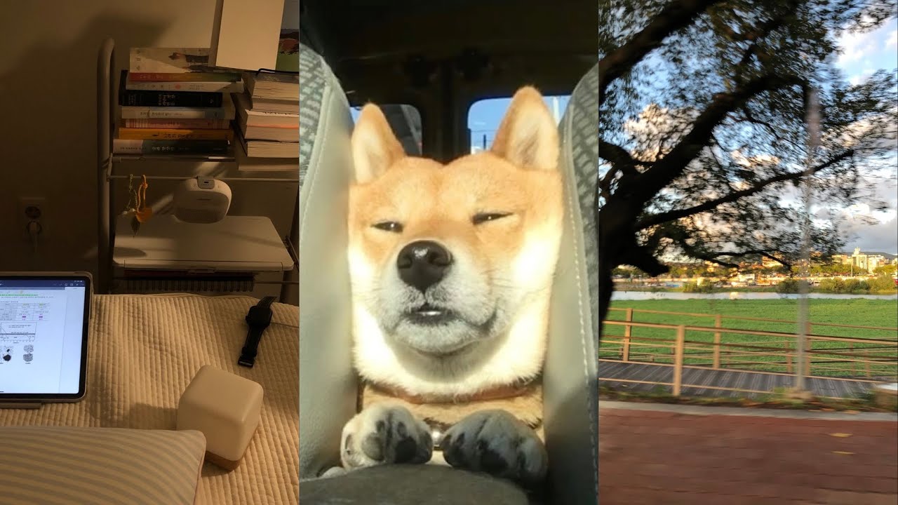 원서접수 ฅ´ω`ฅ* 임고생 브이로그