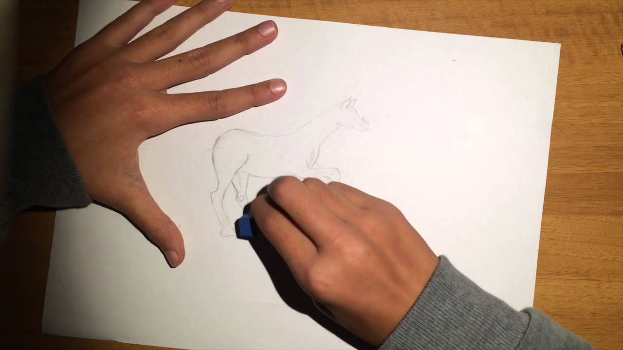 Tutorial Su Come Disegnare Un Cavallo How To Draw A Horse