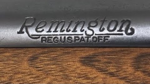 Cover Image for Remington 513T - Classic Target 22
