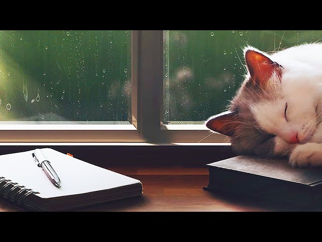 How to Write a Book in 4,019 Easy Steps