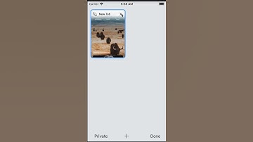 $500 Bounty for XSS on brave | Bug Bounty 2023