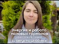 Энергия и работа половых гормонов. Эфир с Еленой Голевой.