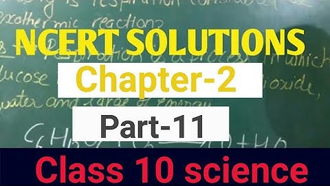acids bases and salts class 10 science chapter 2 solutions part 11 chapter 2 ncert science question