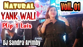 PLIP 1 LAIS BERGOYANG| OT NATURAL ENTERTAINMENT | WALI YANK | DJ SANDRA ARIMBY NEW 2024