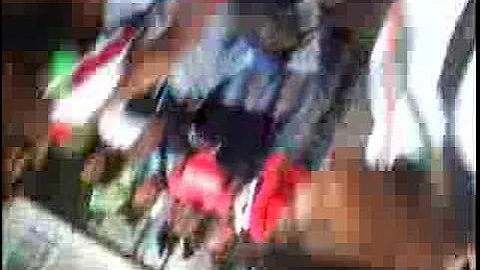 Wacky tacky day at lauderdale