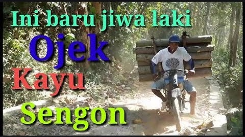 Ojek kayu sengon