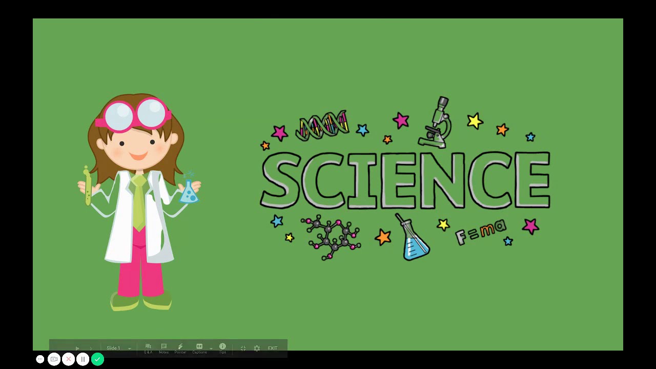 enCore Peter Rabbit Science Lesson 1 - YouTube
