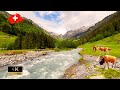  most beautiful places in switzerland lauterbrunnen grindelwald mrren relaxing walk 4k