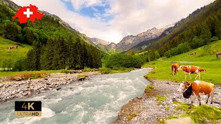 Most Beautiful Places In Switzerland. Lauterbrunnen, Grindelwald, Mürren, Relaxing Walk 4K
