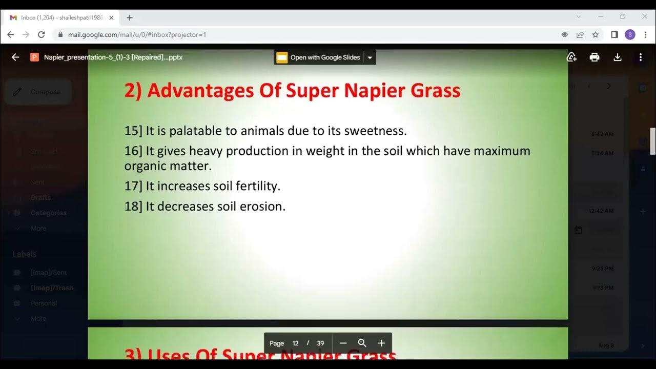 All About Nappier GrassRaw Material for Bio Cng/Coal Plants Join