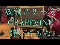 放浪フリーク/GRAPEVINE【Guitar Cover】
