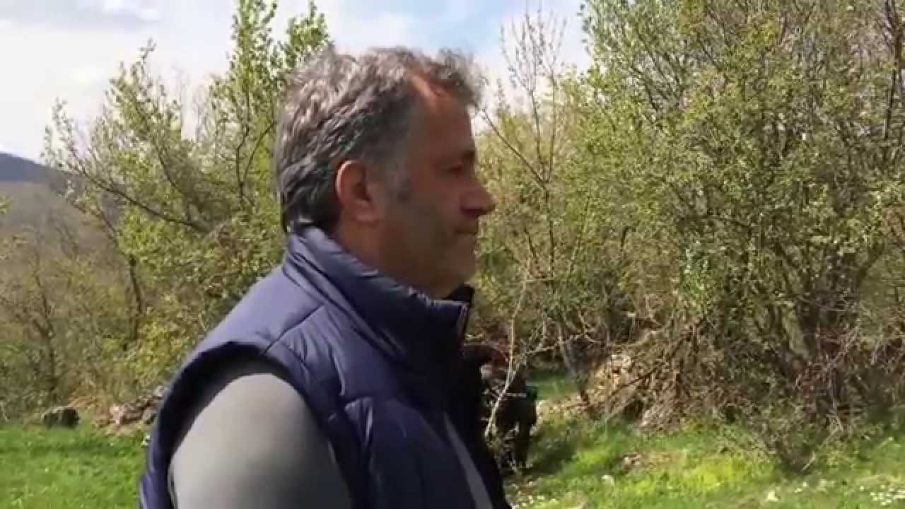 Malësia e Karadakut-Ismet Zülfioğlu-Depcë 2015