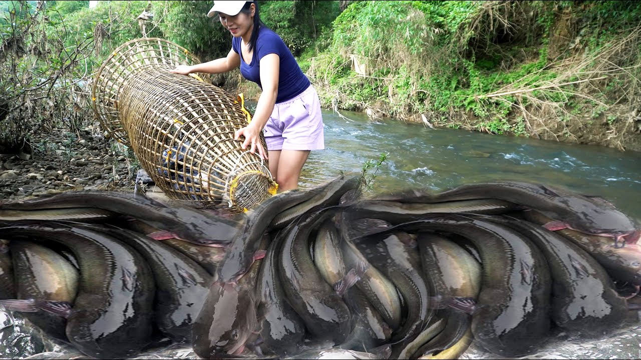 The girl caught a large school of fish with a homemade fish basket.