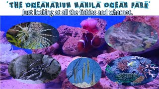 The Oceanarium Manila Ocean Park Just Looking At All The Fishes And Whatnot.