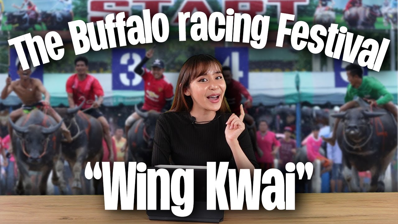 Buffalo racing festival in Thailand 2 Minutes Thailand YouTube