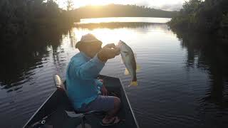 Largemouth Bass Fishing in Puerto Rico HD march 2020 alta.