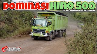 DOMINASI HINO 500 DI JALAN HAULING BATUBARA | KULI TAMBANG
