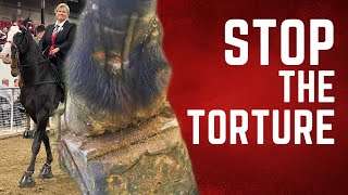 Stop the Torture  Horse Shelter Heroes S3E37