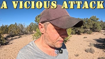 Vicious & Ungrateful: The Truth of The Underhanded Behavior