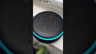 Celebrity Easter Egg Joke From Alexa Wealth
