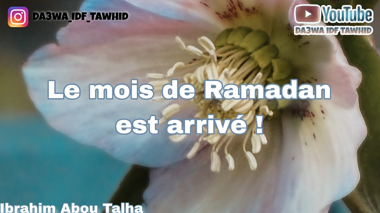 Le mois de Ramadan est arrivé ! Ibrahim Abou Talha #ramadan2024 #ramadan #quran