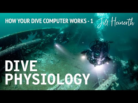 How Your Dive Computer Works, and How to Plan Your Scuba Dives | Diving Physiology Part 1