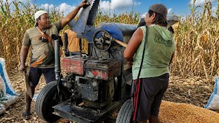This Is How a Corn Threshing Machine Works! 🌽⚙️