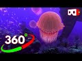 🔴VR 360° Video The Blu  Virtual Reality Underwater Experience