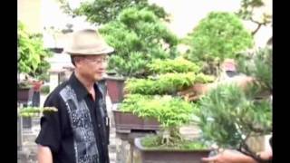 Vuon cay canh nghe thuat Tien Nong.avi