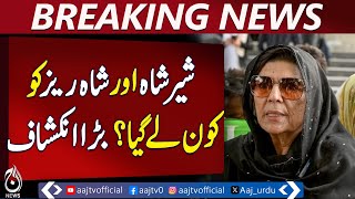 We Will Not Fear Any Pressure, Says Aleema Khan &ndash; Pakistan News