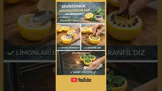 Sivrisinekleri Uzak Tutan Doğal Yöntem