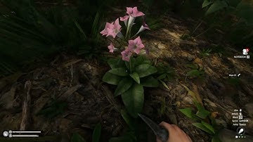 Green Hell - Beginner Guide Part 1