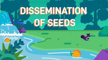 How Plants Disperse Their Seeds
