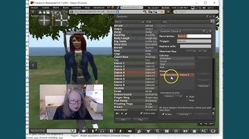 Using and Editing Gestures