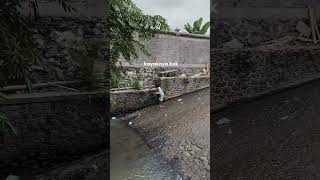 Download Lagu Wong Kere koyo Aku Ora pantes  dimiliki. Jogetin aja ya kan #shorts #youtube #youtubeshorts #viral MP3