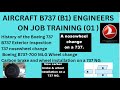 Aircraft b737 b1 engineers on job training 01