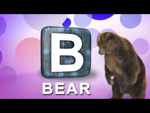 Learn ABC's - Real Animal Alphabet