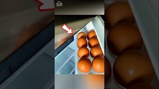 Kebiasaan Sepele Ini Bikin Telur Cepat Rusak di Kulkas 😳