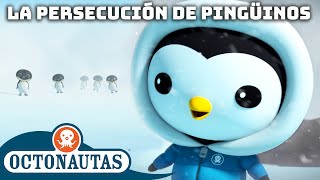 Octonautas - 🐧 Perseguição do Pinguim 🚜 | Compilação | Episódios inteiros