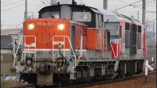 【DD+DF！】8075レ DD51 825+DF200-223重単 八田～春田通過