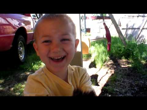 Early June 2010: Backyard Report, Oscar's New Sand...