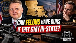 State amicus supports felons with guns?