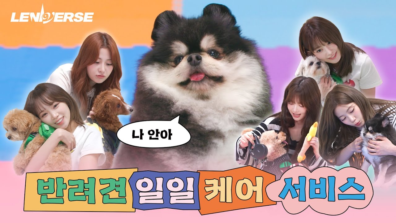 [LENIVERSE] 강아지 펫시터 : 반려견 일일 케어 서비스 l EP.59