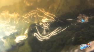 World Wingsuit League launch.mp4