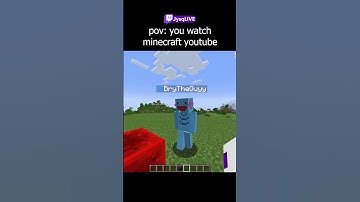 pov: the average minecraft youtube experience